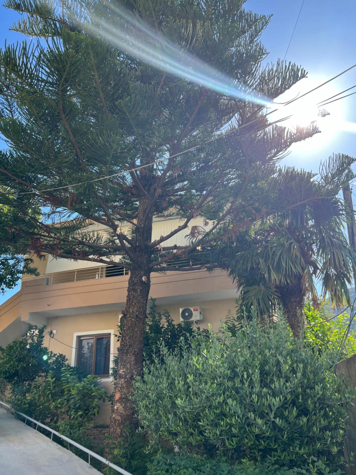 Villa Green Vlorë Екстериор снимка