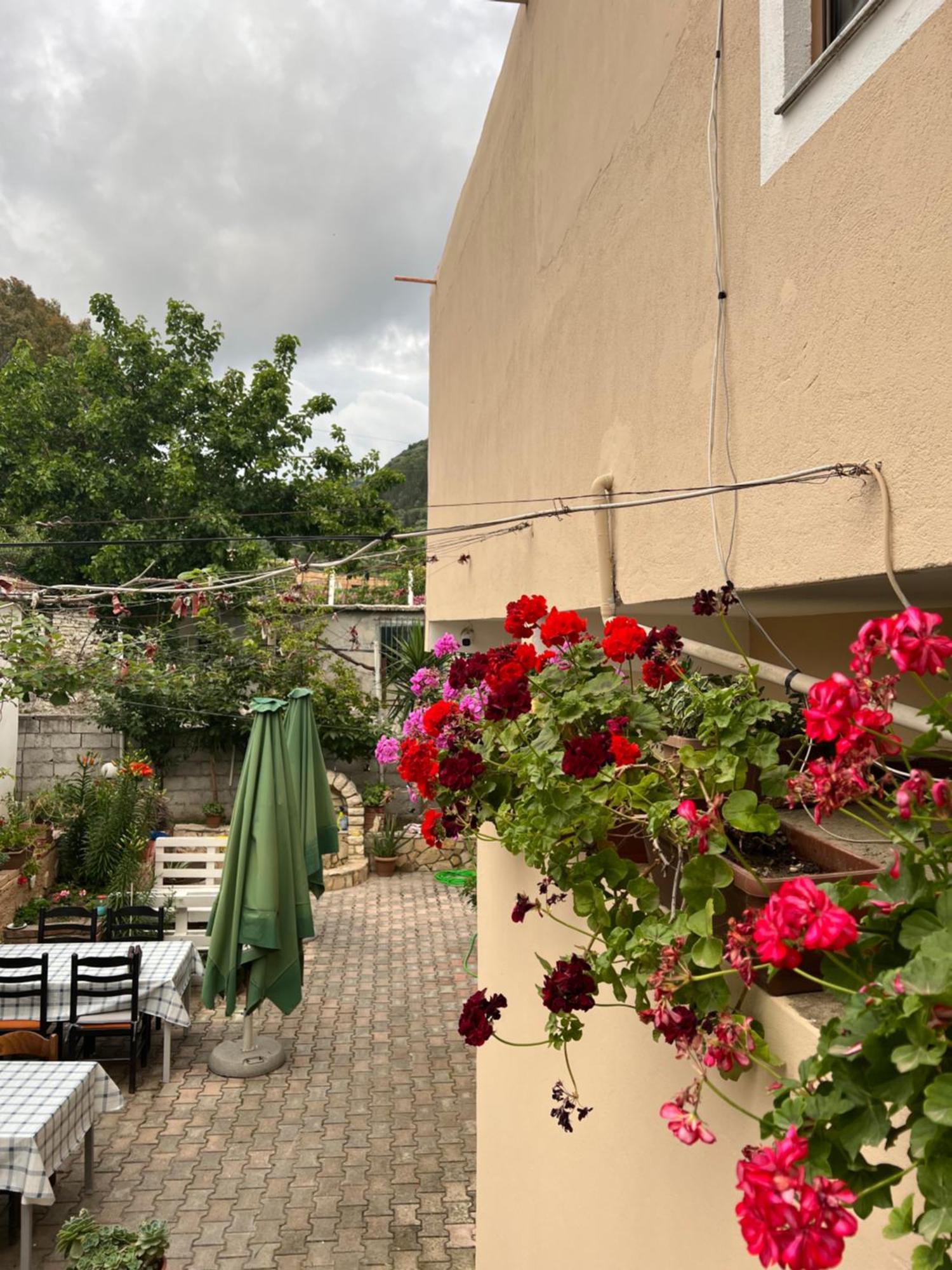 Villa Green Vlorë Екстериор снимка